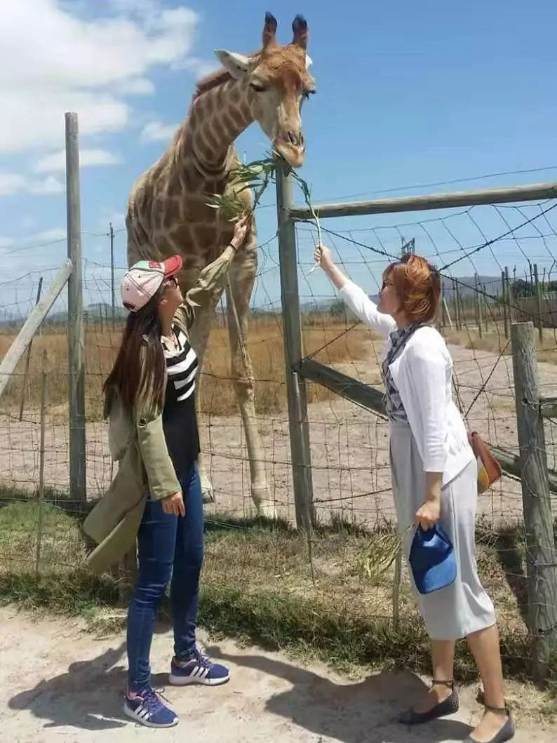 1559740232198086068.png 1559740232198086068.png